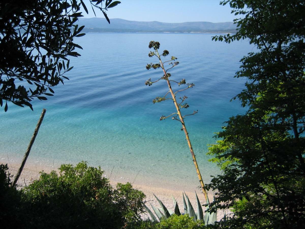 Villa Lipa Dora Murvica  Buitenkant foto