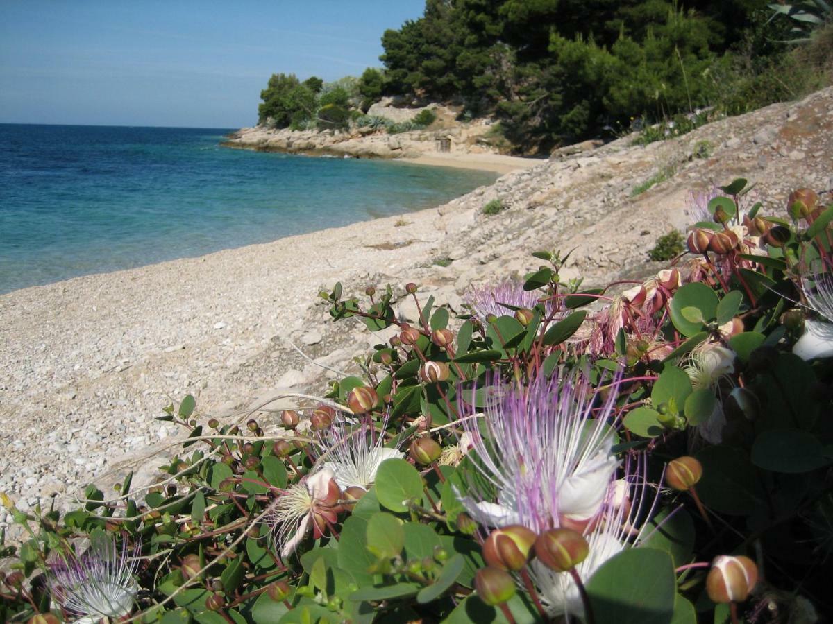 Villa Lipa Dora Murvica  Buitenkant foto